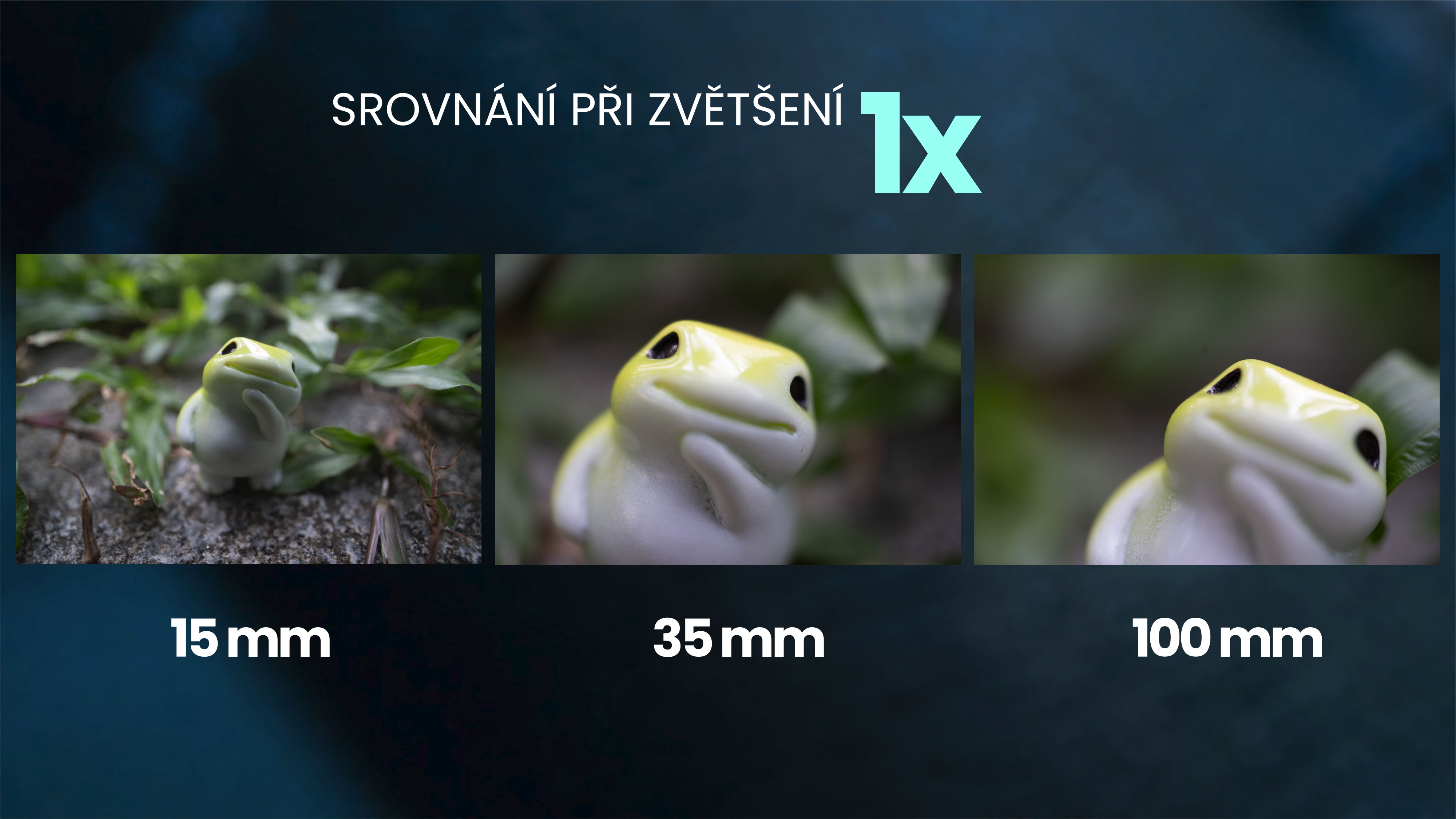 _BSR4_small2.jpg